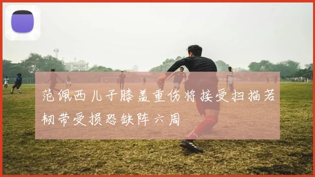 范佩西儿子膝盖重伤将接受扫描若韧带受损恐缺阵六周