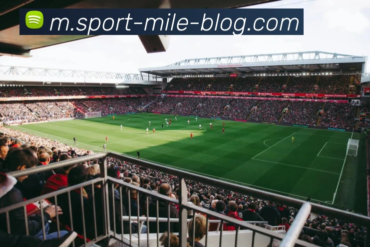 App Interface Preview