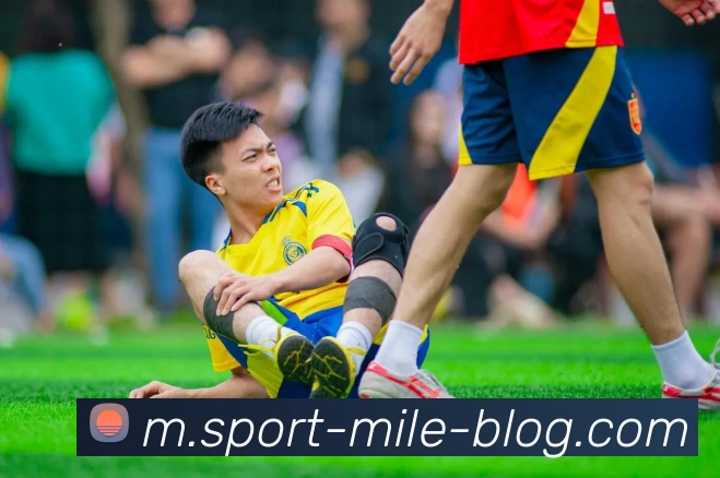 米乐体育APP 封面图